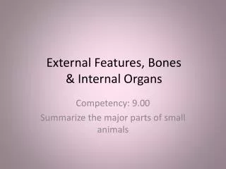 External Features, Bones &amp; Internal Organs