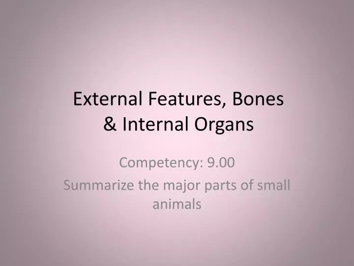 external features bones internal organs