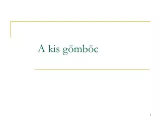 a kis g mb c