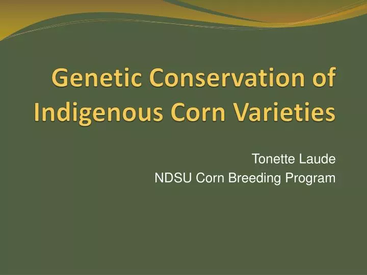 genetic conservation of indigenous corn varieties