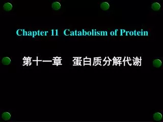 chapter 11 catabolism of protein
