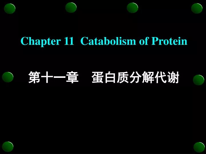 chapter 11 catabolism of protein