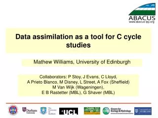 Data assimilation as a tool for C cycle studies