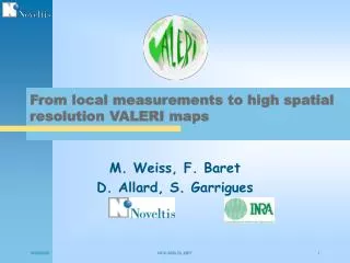 From local measurements to high spatial resolution VALERI maps