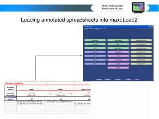 Loading annotated spreadsheets into maxdLoad2