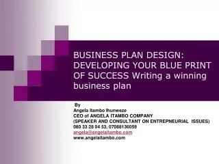 BUSINESS PLAN DESIGN: DEVELOPING YOUR BLUE PRINT OF SUCCESS Writing a winning business plan