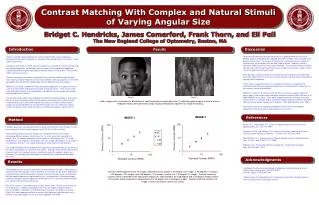 Contrast Matching With Complex and Natural Stimuli of Varying Angular Size