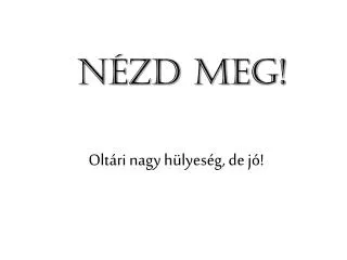 n zd meg