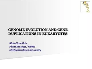 GENOME EVOLUTION AND GENE DUPLICATIONS IN EUKARYOTES