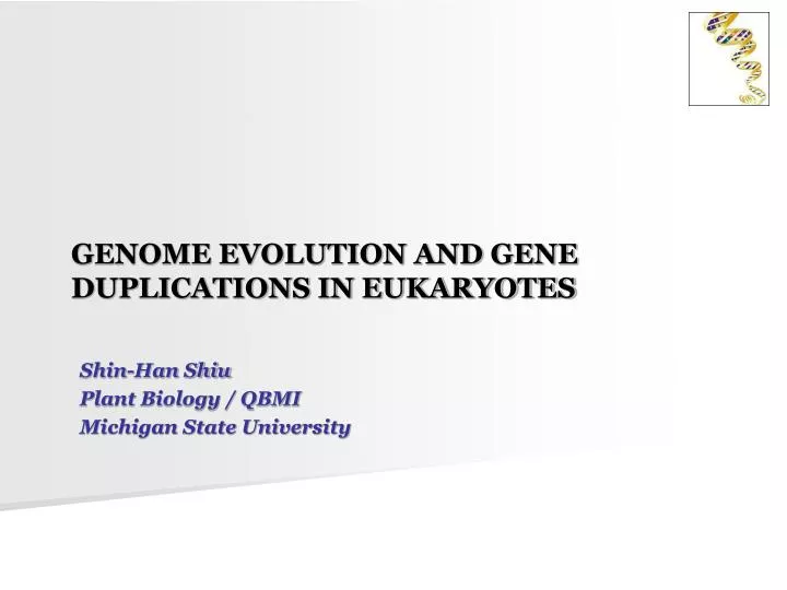 genome evolution and gene duplications in eukaryotes