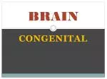 BRAIN - slide 1