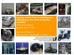 Lessons Learned from Assessing Eco-Efficiency in Electric Mobility - slide 1