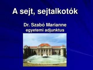 a sejt sejtalkot k dr szab marianne egyetemi adjunktus