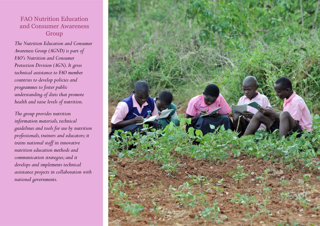 Advancing Nutrition Education and Consumer Awareness for Healthier Diets - slide 1