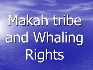 Makah tribe and Whaling Rights