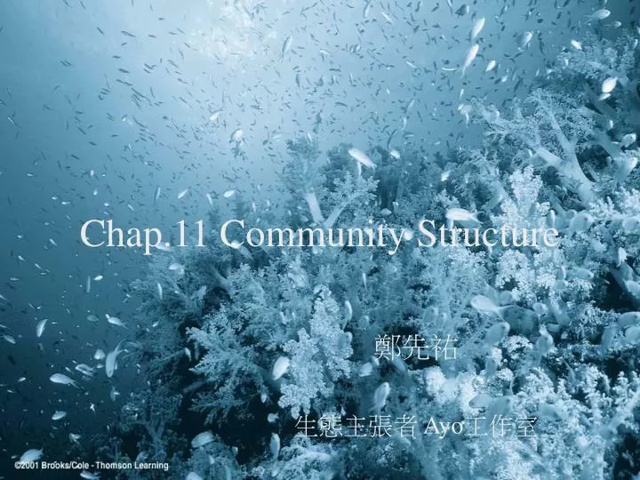 chap 11 community structure
