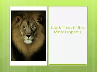 Life &amp; Times of the Minor Prophets