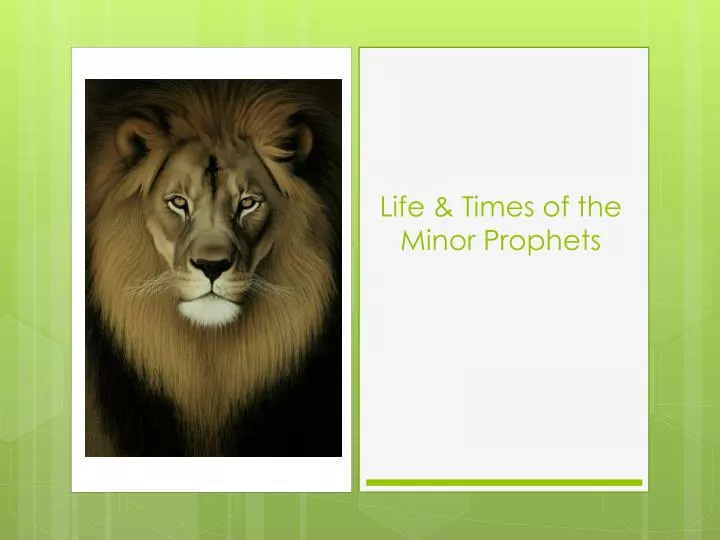 life times of the minor prophets