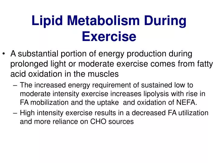 lipid metabolism during exercise