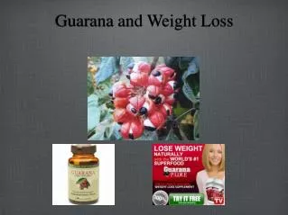 Guarana and Weight Loss