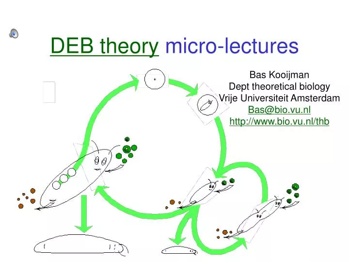 deb theory micro lectures
