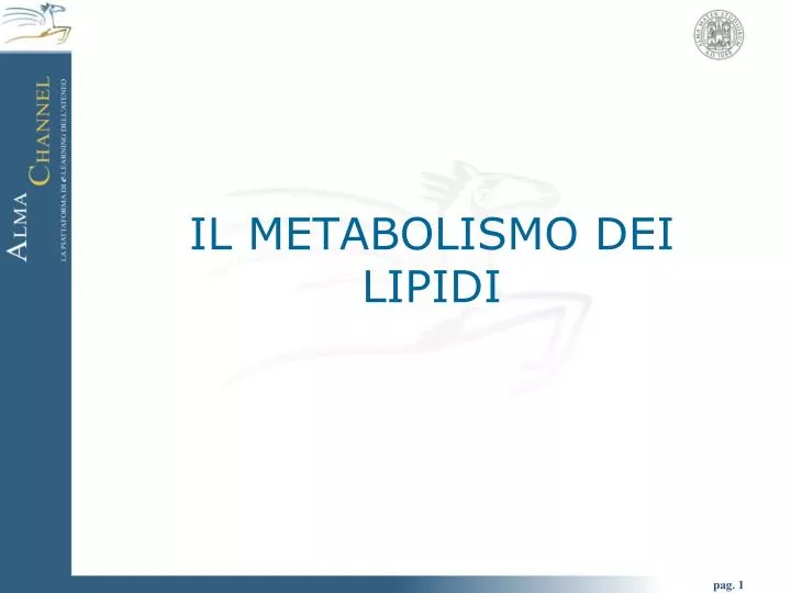 il metabolismo dei lipidi