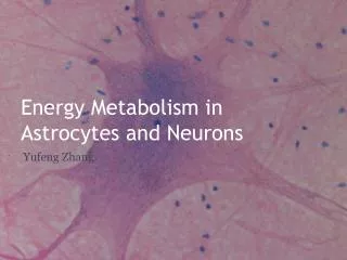 Energy Metabolism in Astrocytes and Neurons
