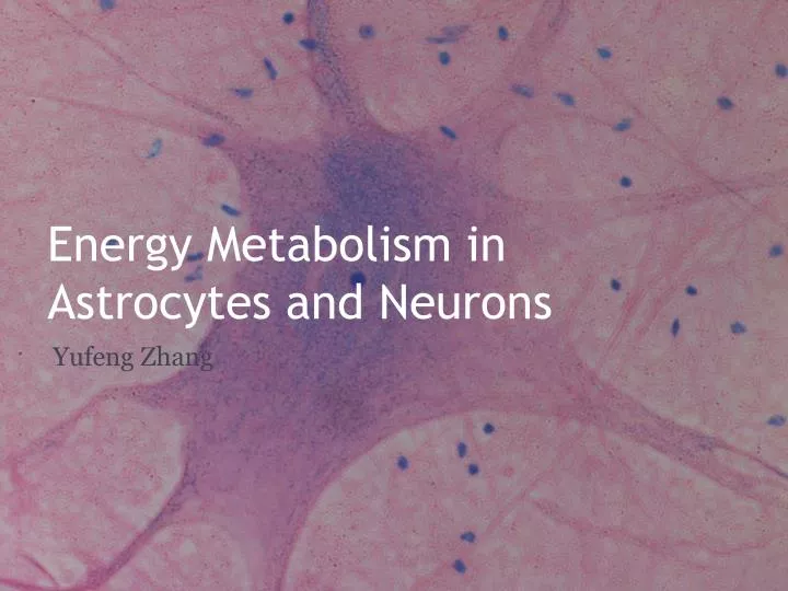 energy metabolism in astrocytes and neurons
