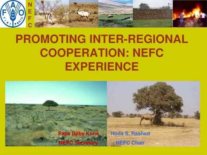 promoting inter regional cooperation nefc experience