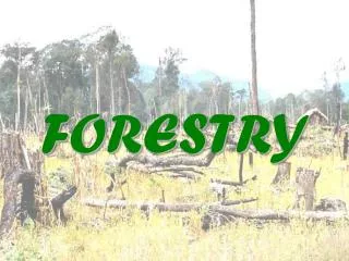 FORESTRY