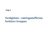 Fordøjelsen – næringsstoffernes funktion i kroppen - slide 1