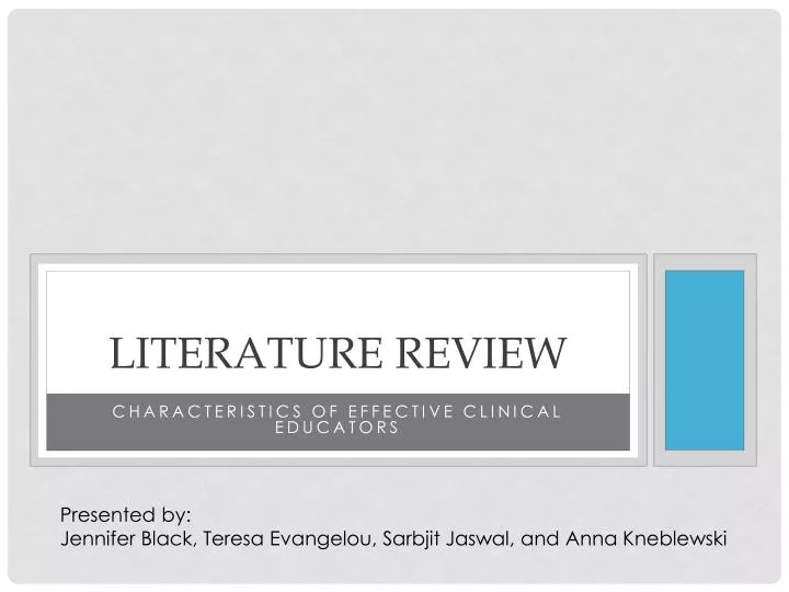 literature review