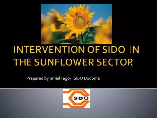 INTERVENTION OF SIDO IN THE SUNFLOWER SECTOR
