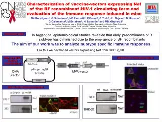 The aim of our work was to analyze subtype specific immune responses