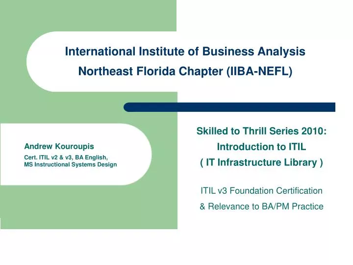 international institute of business analysis northeast florida chapter iiba nefl