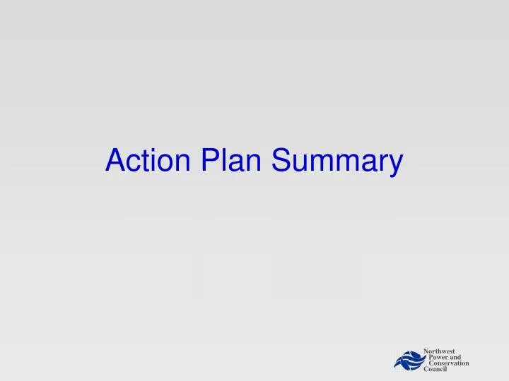 action plan summary