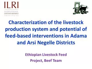 Ethiopian Livestock Feed Project, Beef Team
