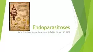endoparasitoses