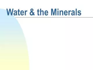 Water &amp; the Minerals