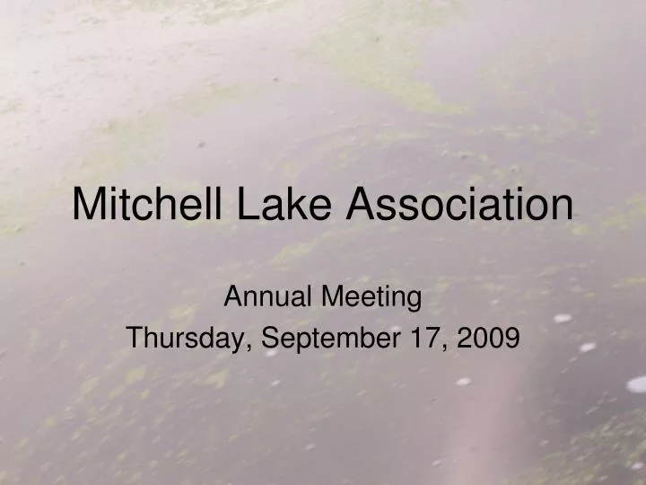 mitchell lake association