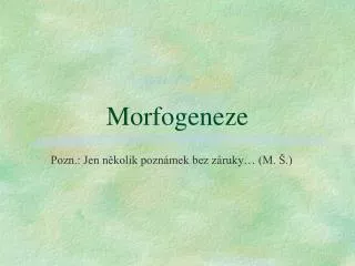 morfogeneze