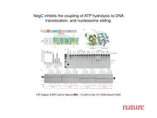 CR Clapier &amp; BR Cairns Nature 000 , 1-5 (2012) doi:10.1038/nature11625