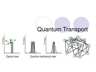 Quantum Transport