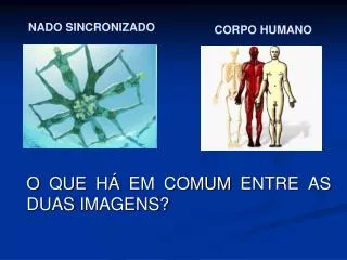 o que h em comum entre as duas imagens