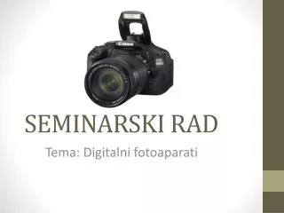 seminarski rad