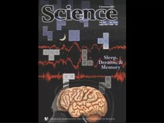 The Physiology and Chemistry of the Brain Change Across the Night