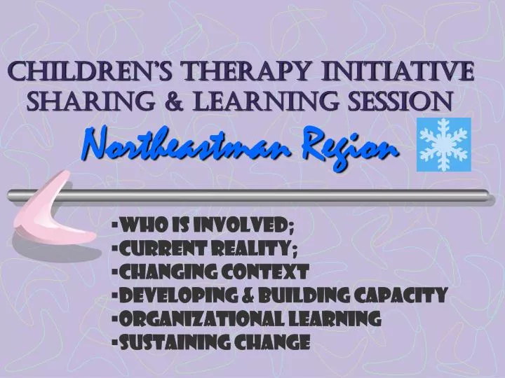 children s therapy initiative sharing learning session northeastman region