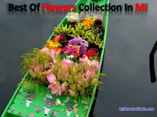 Best Of The Finest Flowers Collection In MI