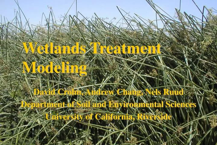 wetlands treatment modeling