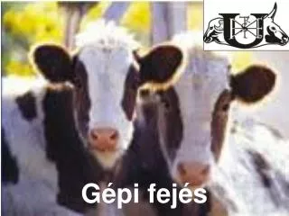 g pi fej s